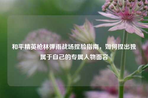 和平精英枪林弹雨战场捏脸指南,如何捏出独属于自己的专属人物面容