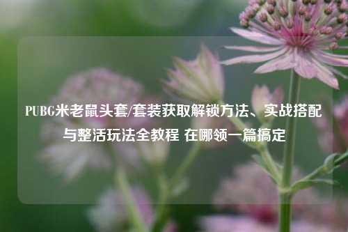 PUBG米老鼠头套/套装获取解锁方法、实战搭配与整活玩法全教程 在哪领一篇搞定
