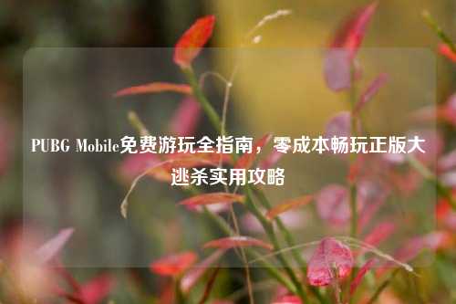 PUBG Mobile免费游玩全指南，零成本畅玩正版大逃杀实用攻略