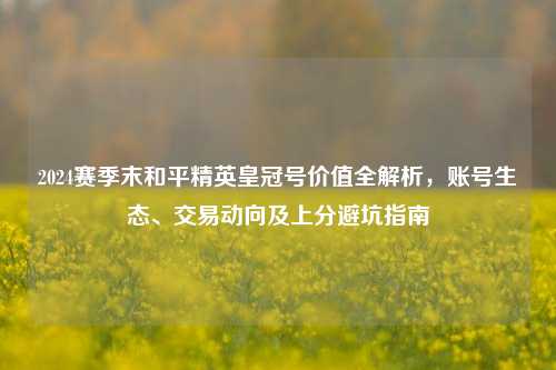2024赛季末和平精英皇冠号价值全解析,账号生态、交易动向及上分避坑指南