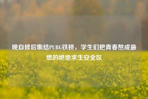 晚自修后集结PUBG铁桥,学生们把青春熬成最燃的绝地求生安全区