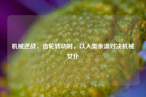 机械逆战，齿轮转动时，以人类余温对决机械女仆
