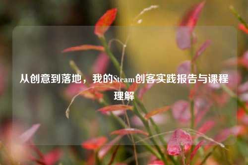 从创意到落地，我的Steam创客实践报告与课程理解