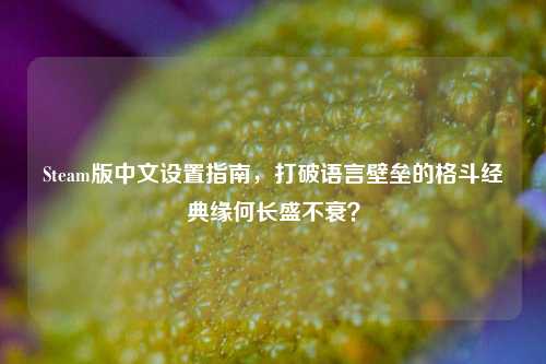 Steam版中文设置指南,打破语言壁垒的格斗经典缘何长盛不衰?