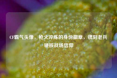 CF霸气头像，枪火淬炼的身份徽章，镌刻老兵硬核战场信仰