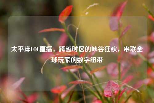 太平洋LOL直播,跨越时区的峡谷狂欢,串联全球玩家的数字纽带