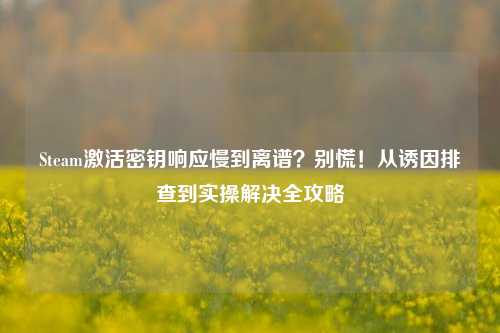 Steam激活密钥响应慢到离谱?别慌!从诱因排查到实操解决全攻略