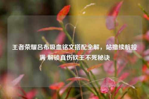 王者荣耀吕布吸血铭文搭配全解,站撸续航拉满 解锁真伤砍王不死秘诀