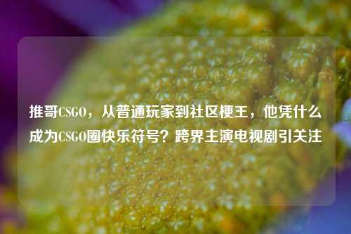 推哥CSGO，从普通玩家到社区梗王，他凭什么成为CSGO圈快乐符号？跨界主演电视剧引关注