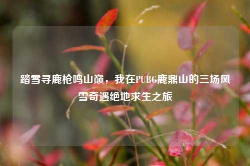 踏雪寻鹿枪鸣山巅,我在PUBG鹿鼎山的三场风雪奇遇绝地求生之旅