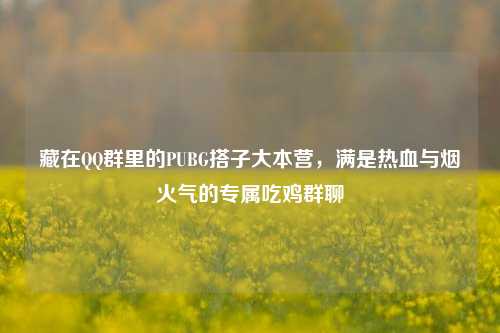 藏在QQ群里的PUBG搭子大本营,满是热血与烟火气的专属吃鸡群聊