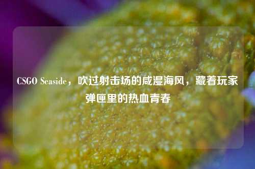 CSGO Seaside，吹过射击场的咸湿海风，藏着玩家弹匣里的热血青春