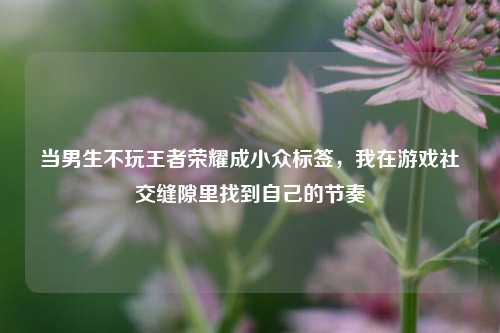 当男生不玩王者荣耀成小众标签,我在游戏社交缝隙里找到自己的节奏