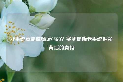 XP系统真能流畅玩CSGO？实测揭晓老系统倔强背后的真相