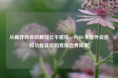 从操作升级到触碰公平底线,PUBG手游外设连接功能背后的竞技边界探索