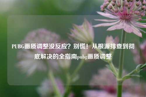PUBG画质调整没反应？别慌！从根源排查到彻底解决的全指南pubg画质调整