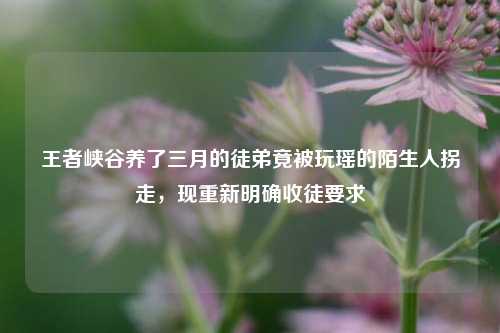 王者峡谷养了三月的徒弟竟被玩瑶的陌生人拐走,现重新明确收徒要求