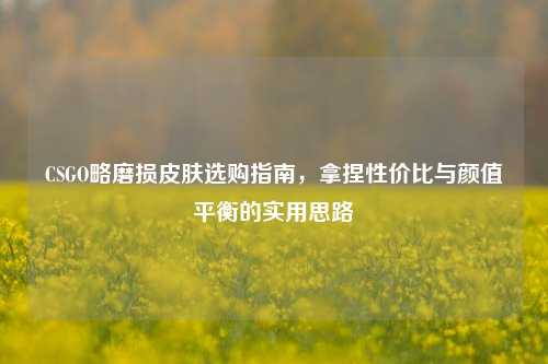 CSGO略磨损皮肤选购指南，拿捏性价比与颜值平衡的实用思路