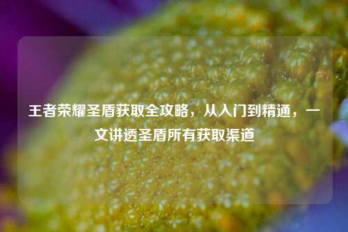 王者荣耀圣盾获取全攻略，从入门到精通，一文讲透圣盾所有获取渠道