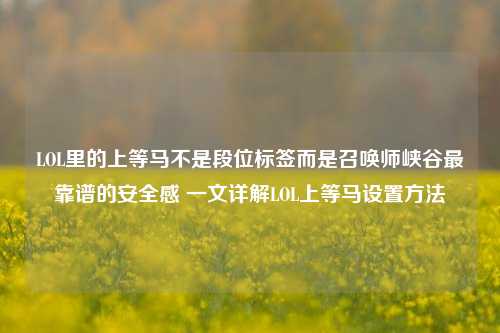 LOL里的上等马不是段位标签而是召唤师峡谷最靠谱的安全感 一文详解LOL上等马设置方法