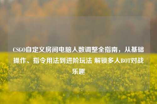 CSGO自定义房间电脑人数调整全指南，从基础操作、指令用法到进阶玩法 解锁多人BOT对战乐趣