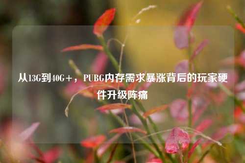 从13G到40G+，PUBG内存需求暴涨背后的玩家硬件升级阵痛