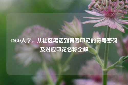 CSGO入字,从社区黑话到青春印记的符号密码及对应印花名称全解