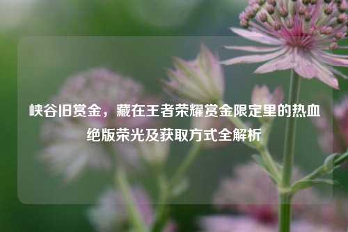 峡谷旧赏金，藏在王者荣耀赏金限定里的热血绝版荣光及获取方式全解析