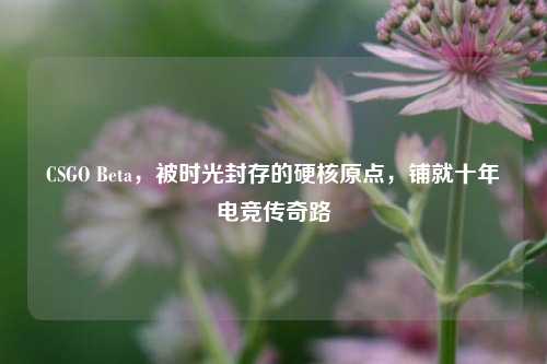 CSGO Beta,被时光封存的硬核原点,铺就十年电竞传奇路
