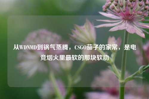 从WDNMD到锅气蒸腾,CSGO茄子的家常,是电竞烟火里最软的那块软肋