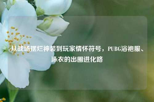 从战场摆烂神装到玩家情怀符号,PUBG浴袍服、泳衣的出圈进化路