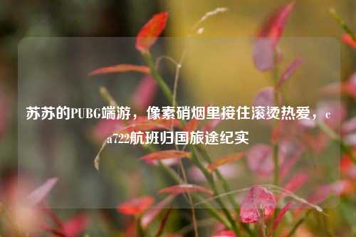 苏苏的PUBG端游，像素硝烟里接住滚烫热爱，ca722航班归国旅途纪实