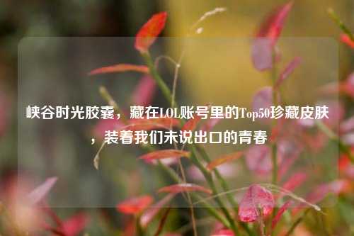 峡谷时光胶囊,藏在LOL账号里的Top50珍藏皮肤,装着我们未说出口的青春