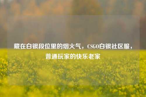 藏在白银段位里的烟火气,CSGO白银社区服,普通玩家的快乐老家