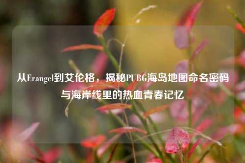 从Erangel到艾伦格，揭秘PUBG海岛地图命名密码与海岸线里的热血青春记忆