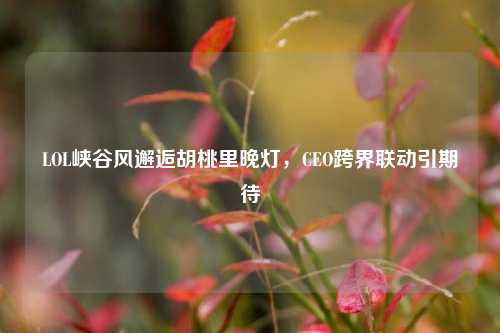 LOL峡谷风邂逅胡桃里晚灯，CEO跨界联动引期待