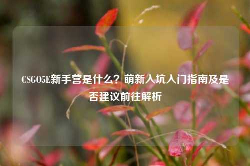 CSGO5E新手营是什么?萌新入坑入门指南及是否建议前往解析