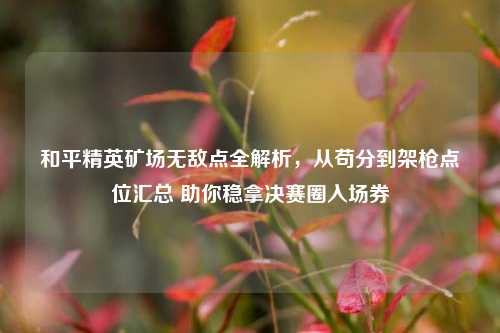 和平精英矿场无敌点全解析,从苟分到架枪点位汇总 助你稳拿决赛圈入场券