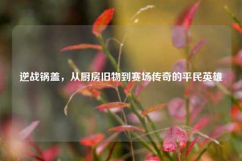 逆战锅盖,从厨房旧物到赛场传奇的平民英雄