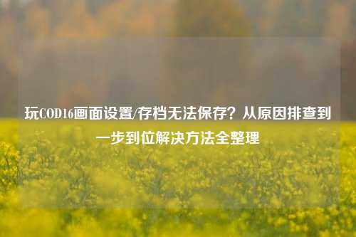 玩COD16画面设置/存档无法保存？从原因排查到一步到位解决方法全整理