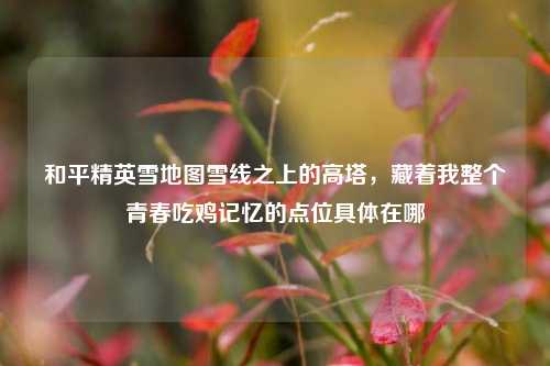 和平精英雪地图雪线之上的高塔,藏着我整个青春吃鸡记忆的点位具体在哪