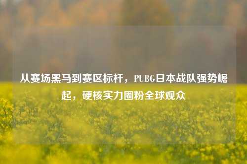 从赛场黑马到赛区标杆,PUBG日本战队强势崛起,硬核实力圈粉全球观众