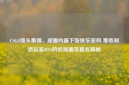 CSGO馒头集锦,成圈内最下饭快乐密码 那些刻进玩家DNA的名场面及真名揭秘