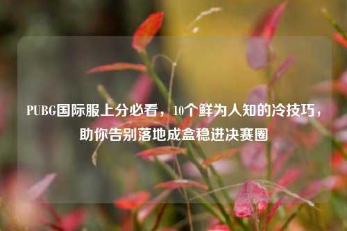 PUBG国际服上分必看，10个鲜为人知的冷技巧，助你告别落地成盒稳进决赛圈