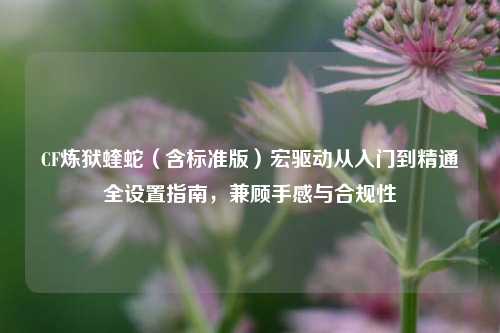 CF炼狱蝰蛇(含标准版)宏驱动从入门到精通全设置指南,兼顾手感与合规性