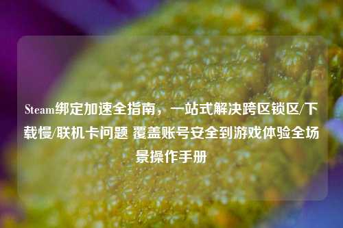 Steam绑定加速全指南,一站式解决跨区锁区/下载慢/联机卡问题 覆盖账号安全到游戏体验全场景操作手册