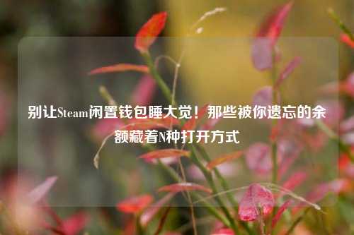 别让Steam闲置钱包睡大觉!那些被你遗忘的余额藏着N种打开方式