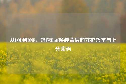 从LOL到DNF,奶爸Buff换装背后的守护哲学与上分密码