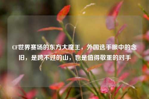 CF世界赛场的东方大魔王，外国选手眼中的念旧，是跨不过的山，也是值得敬重的对手