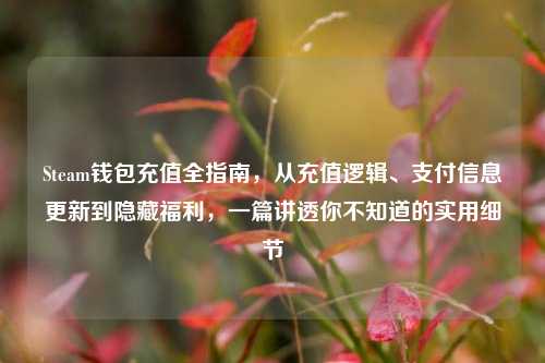 Steam钱包充值全指南,从充值逻辑、支付信息更新到隐藏福利,一篇讲透你不知道的实用细节